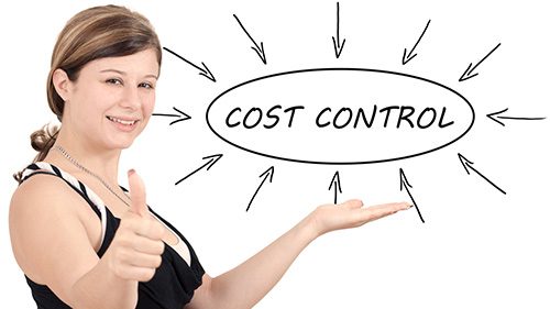 Cost Control - Affordable Websites for Small Businesses